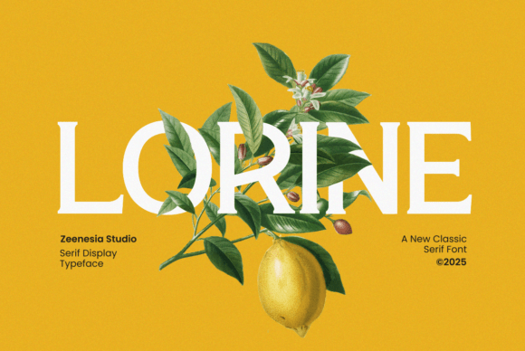 Lorine Typeface: Elevate Your Campaign Visuals
